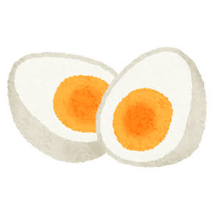 卵は神である